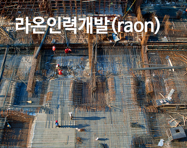라온인력개발(raon)