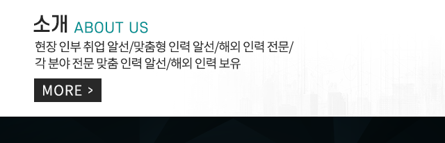 라온인력개발(raon)  소개